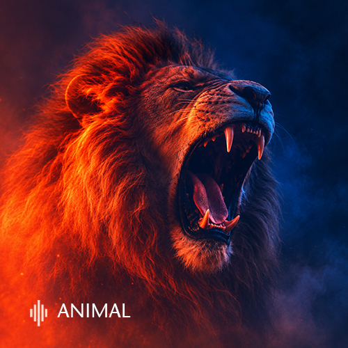 ANIMAL